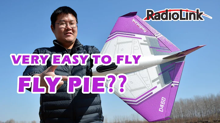 VERY EASY! Fly Pie! RadioLink D460 RC Plane Test, 樂迪電子新品多寶魚航模套裝測評 - 天天要聞