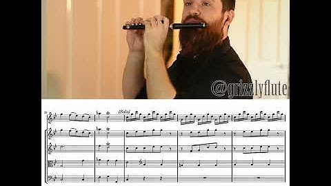 GRIZZLYFLUTE // Third movement (Opening Solo) of the Concerto in C Minor RV 441 by Antonio Vivaldi.