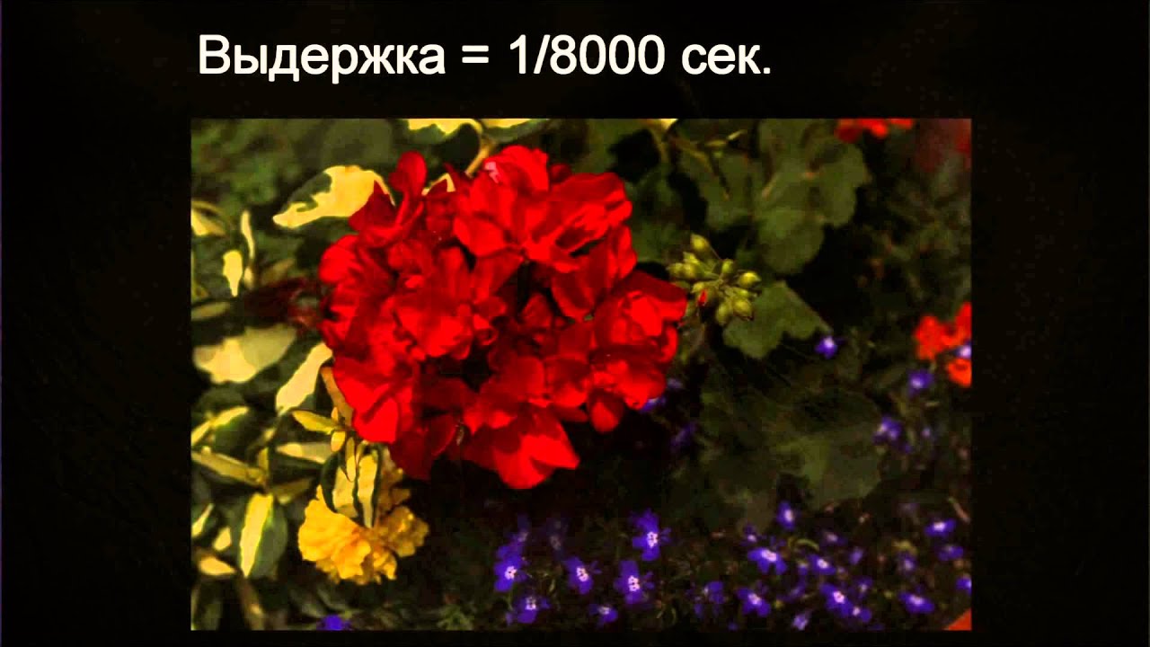 Что такое экспозиция? Фотография. - YouTube