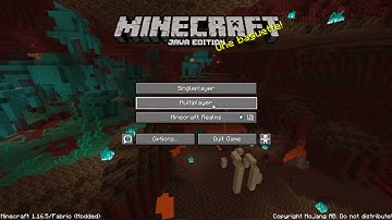 MC Origins Mod Ep 1: Feline Fine