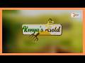 Kenya's Gold Feature | Irrigation Kirinyanga 3rd August 2026 Prt 3