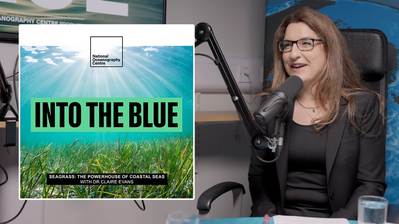 Почему заросли морской травы играют ключевую роль в борьбе с изменением климата | Подкаст Into th...