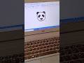 Ms Word shortcut key for panda| In English |. #computer #shortcuts #typing