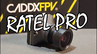 :  CaddxFPV Ratel Pro -     !