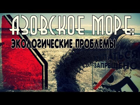 Видео: Азовское море: Можно ли купаться???