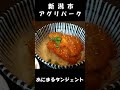 新潟市南区のグルメと動物ふれあいパーク #shorts #farm #gurmet