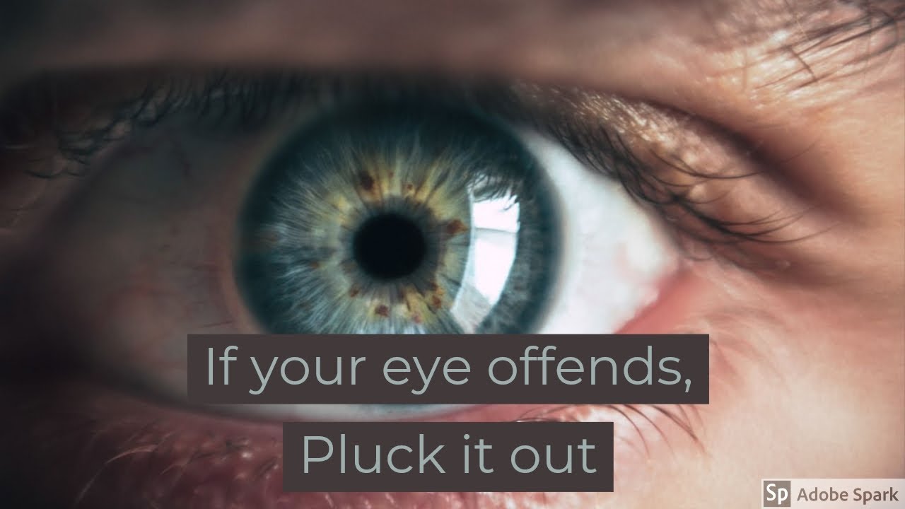 If your eye offends PLUCK IT OUT, if your hand offends CUT IT OFF ...