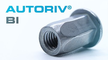 AUTORIV BI blind rivet nuts with hexagonal body
