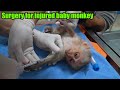 Take the injured baby monkey to the vet hospital for treatment after the rescue