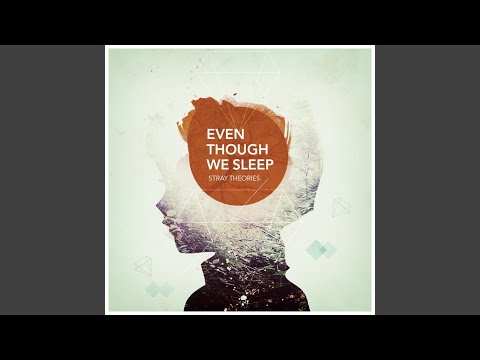 Stray Theories - A Distant Light