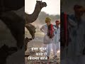 Marwadi new song  rajasthani song  marwadi viral  marwadi super hit song marwadiviralsong