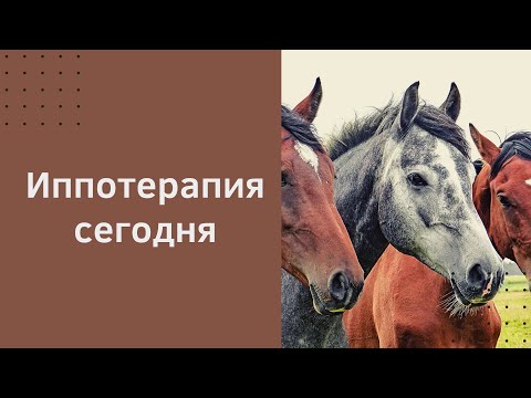 Видео: Преимущества использования реабилитации или установки для травмированной лошади