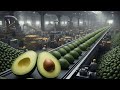 Inside a Modern Avocado Ice Cream Processing Factory | Full Process