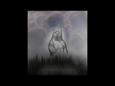Schizoid Bears — Schizoid Bears - Kuelveerstuk
