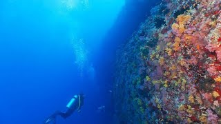 exploring the ocean with AI