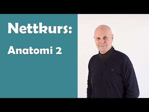 Nettkurs i nevrobiologi del 5: Anatomi 2