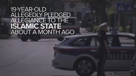 Suspect confesses to terror plot targeting Taylor Swift concert in Vienna