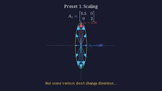 Eigenvalues & Eigenvectors: Vector Transformation Visualized