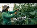 El éxito bajo techo: Invernaderos que unen familias - TvAgro por Juan Gonzalo Angel