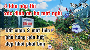đất sốt tham lam không bán bây giờ thì vỡ mộng đành bán rẻ để thoát hàng bđs ở bà rịa vũng tàu