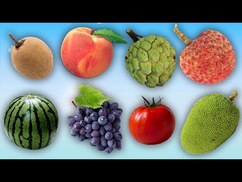 Các Loại Màu Sắc - Dạy bé học các loại hoa quả bằng hình ảnh || Bé học online 2019