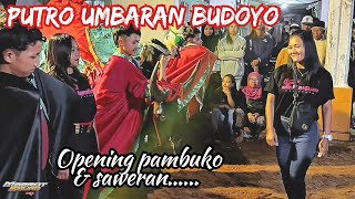 PUTRO UMBARAN BUDOYO🔥pambuko seni bantengan & saweran live umpak -jabung‼️
