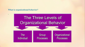 What is Organizational Behavior. Define Organizational Behavior. OB.