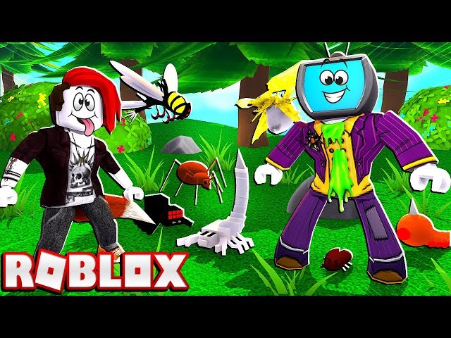 Xdarzethx Roblox More Woovit - bug catching simulator roblox