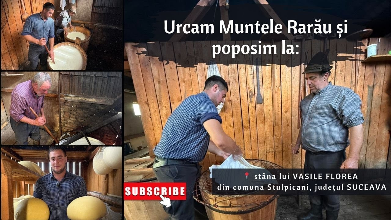 📍 La stâna lui VASILE FLOCEA din MUNTELE RARĂU așezată pe ”Pășunea Clife” a comunei CRUCEA, jud. SV
