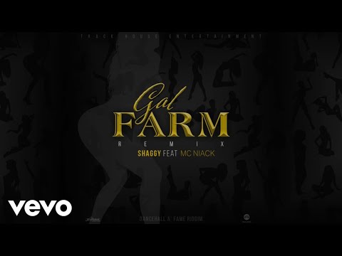 Shaggy, Niack - Gal Farm (Official Lyric Video)