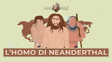 Come vivevano i Neanderthal?