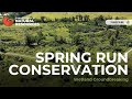 Spring Run Conservation Wetland Groundbreaking Event