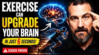 How Exercise Improves Brain Health, Longevity & Cognitive Performance#HubermanLab #Science #Exercise