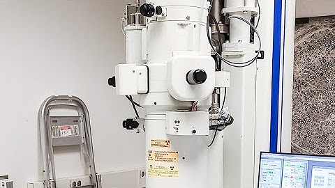 How Electron Microscope Sees The Unseen: SEM Vs TEM #microbiology #microscope #viral 