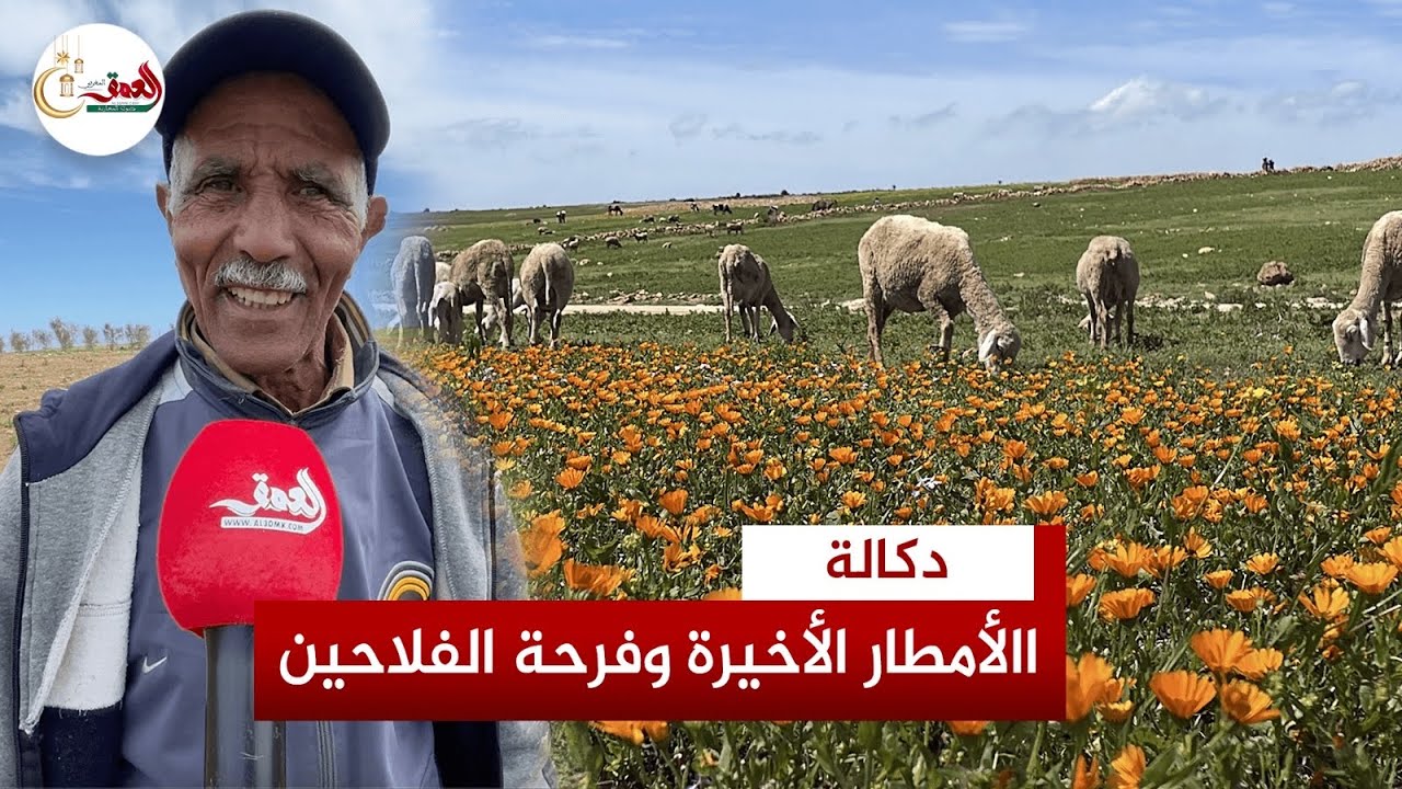 الأمطار الأخيرة تدخل الفرح في قلوب الفلاحين وكساب: