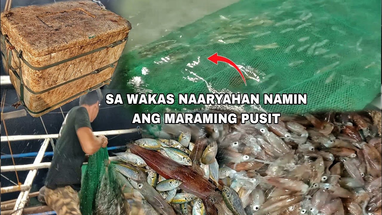 FINALLY!! naka Dami na ng huling mga pusit | masbate