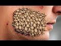 99% Tingle Success: Mouth Massage & Scratching ASMR 😴