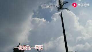 悲歡離合人生苦短，來去從容得失坦然，順其自然隨遇而安