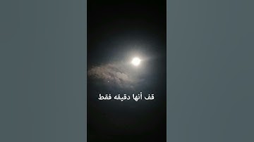 استخدم الصوت ❤️☔ #sunset #اكسبلور #اهميه #تلاوة_هادئة #لايك #اعتني #quran #راحة_نفسية #دويتو