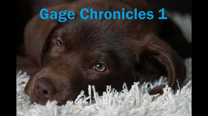 Gage Chronicles 1