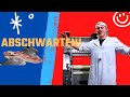 Wie man schweine erfolgreich abschwartet