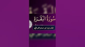 ما تيسر من سورة البقرة للقارئ زيد الشمري (أبو أسامة العراقي)