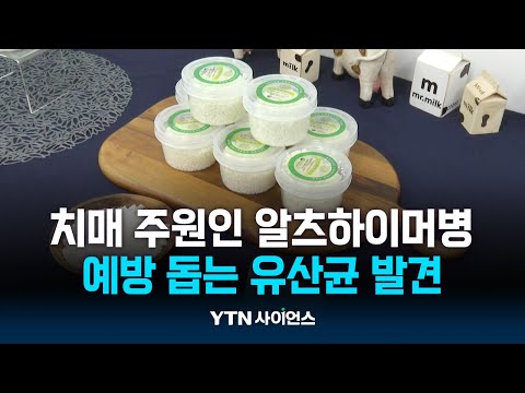치매 <strong>주원인</strong> 알츠하이머병  예방 돕는 토종 유산균 발견 | 과학뉴스 23.11.13