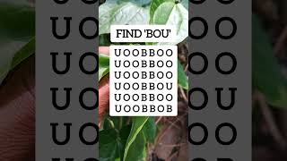 Find The Odd One Visual Logic Challenge Ep.1908