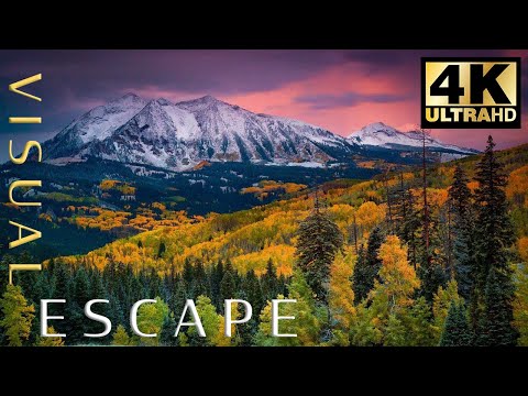 Soaring Over Utah Fall Leaves  Inspire 2 X7