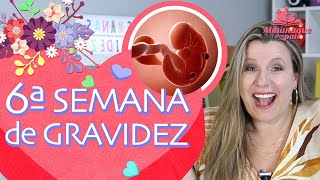 6ª SEMANA DE GESTAÇÃO | Sintomas, como está o bebê, o corpo da mamãe | 1º TRIMESTRE DE GRAVIDEZ screenshot 4