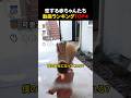 恋する赤ちゃんたち