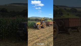 trator Valmet 980 fazendo a Silagem de milho #trator #automobile