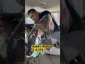Pasion y paciencia es la clave ! #windowtint #automobile #pasion #windowtinting #shortvideo