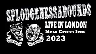 Splodgenessabounds - Live In London / New Cross Inn (23 September 2023)